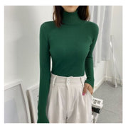 Pull à Colle Roulé Coton Recomposé Femme | La Parisienne
