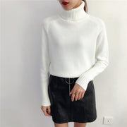 Women's Cashmere Sweater | The Parisian