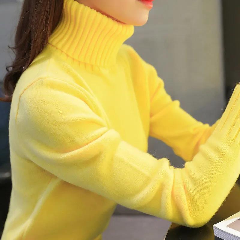 Pull en coton Femme | La Parisienne